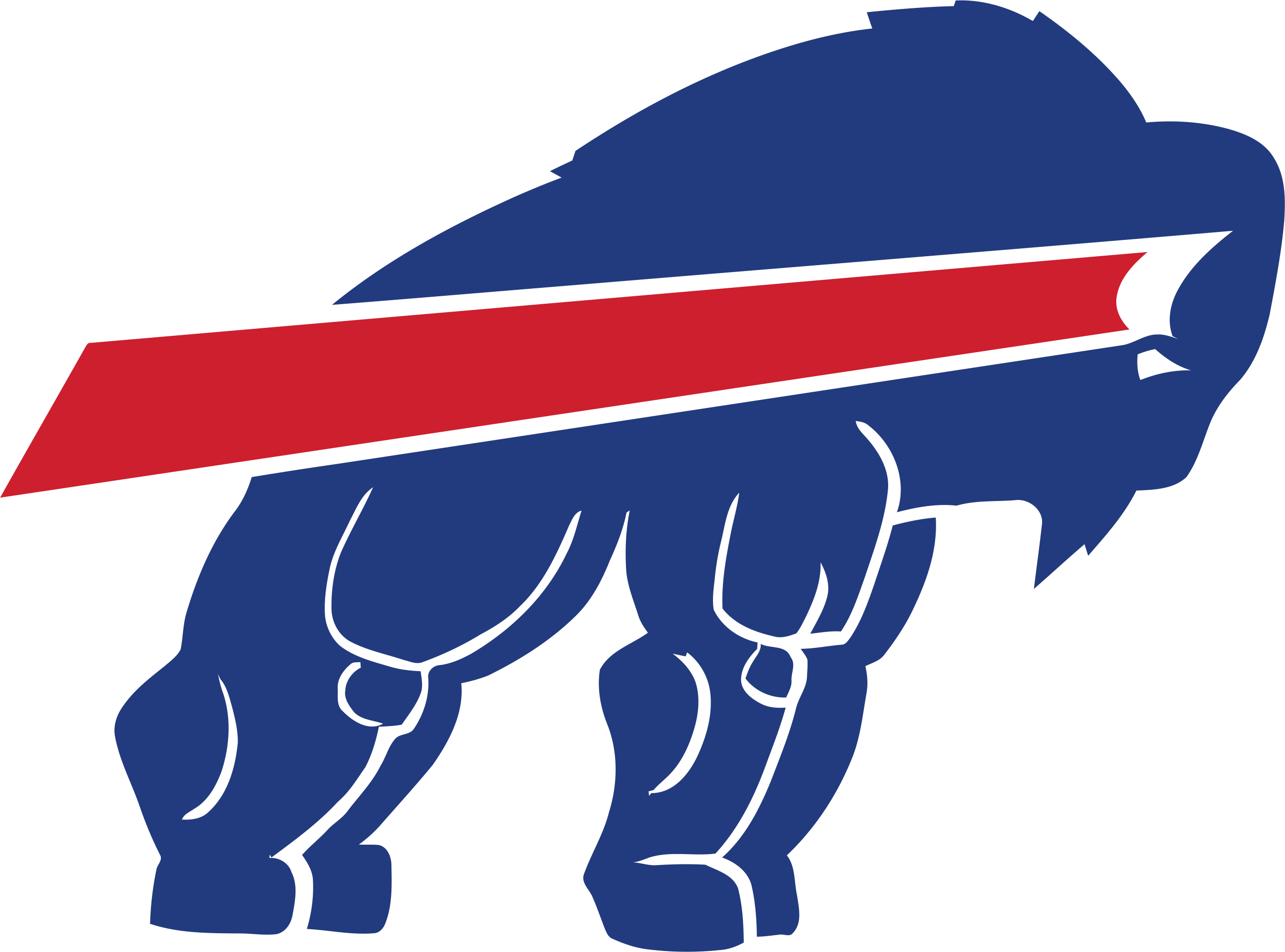 Buffalo Bills Steroids Logo iron on transfers